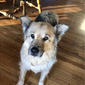 Meet your Posher, Kari